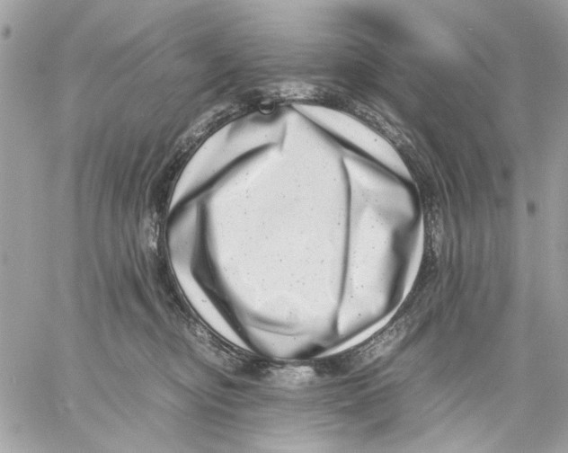 X0000057080374200510071851