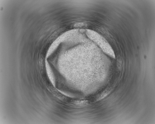 X0000057080375200510071851