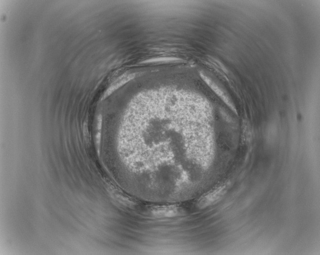 X0000057080377200510071851