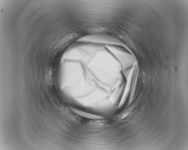 X0000057080378200510071851