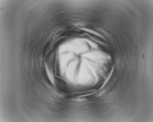 X0000057080379200510071851