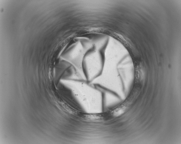 X0000057080380200510071851