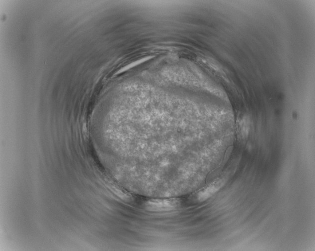 X0000057080381200510071851