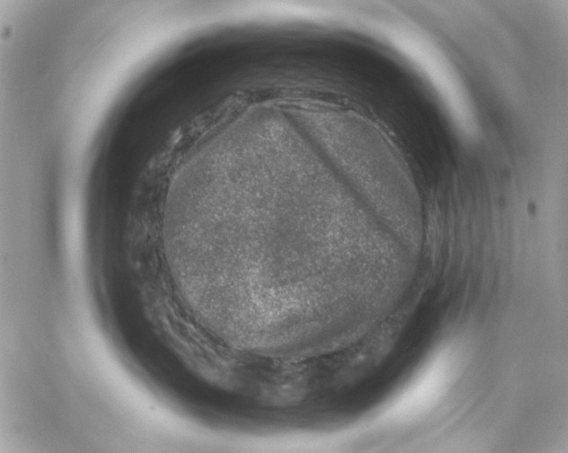 X0000057080383200510071851