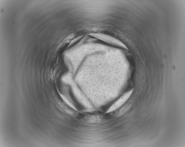 X0000057080384200510071851