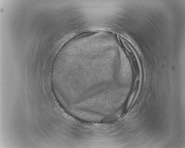 X0000057080385200510071851