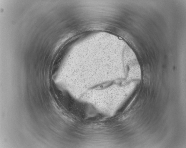 X0000057080386200510071851