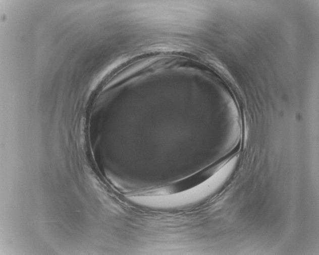 X0000057080387200510071851