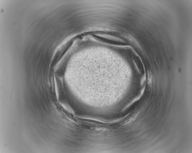 X0000057080388200510071851