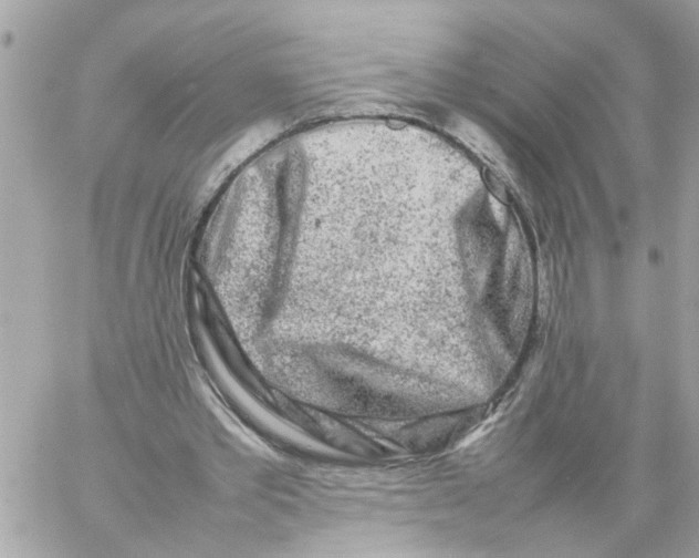 X0000057080389200510071851