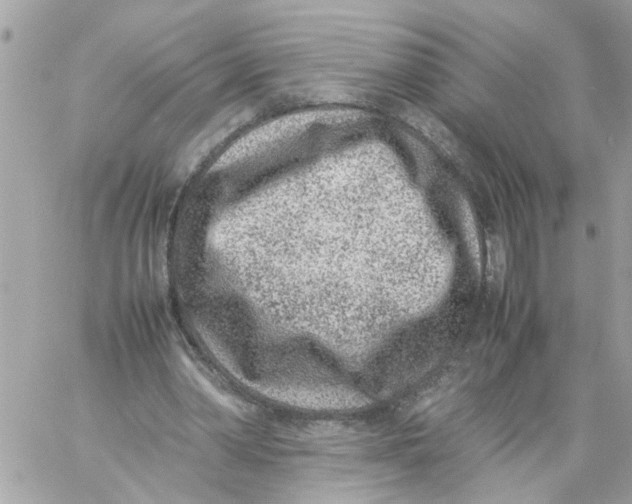 X0000057080390200510071851