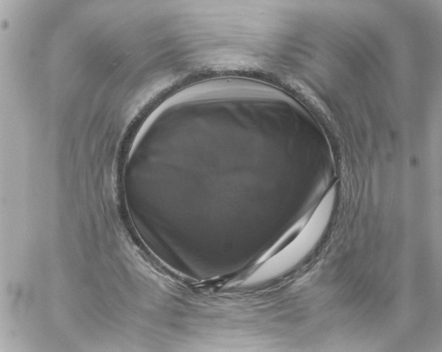 X0000057080391200510071851