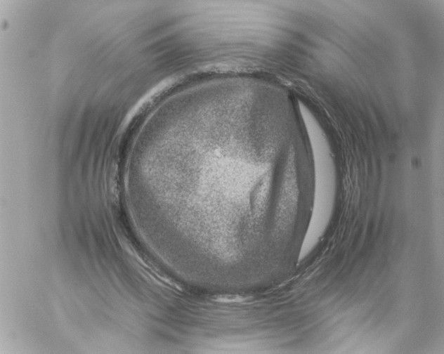 X0000057080392200510071851