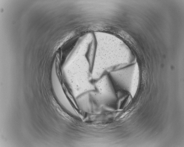 X0000057080393200510071851