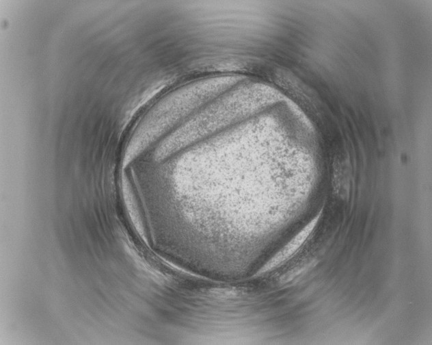 X0000057080394200510071850