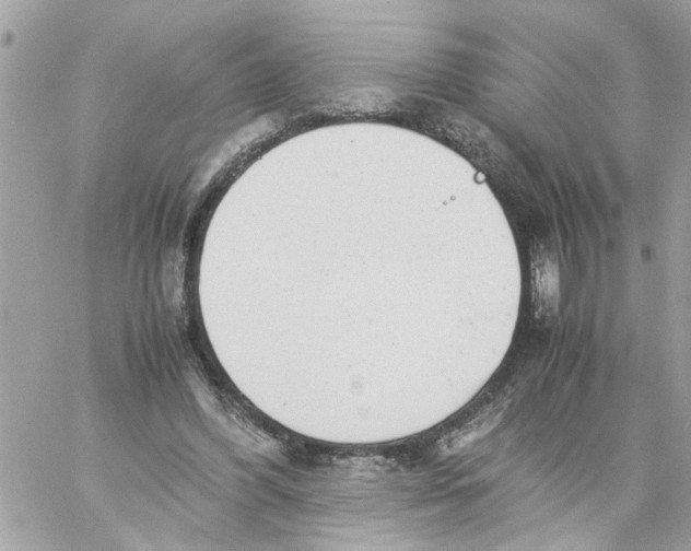 X0000057080396200510071850