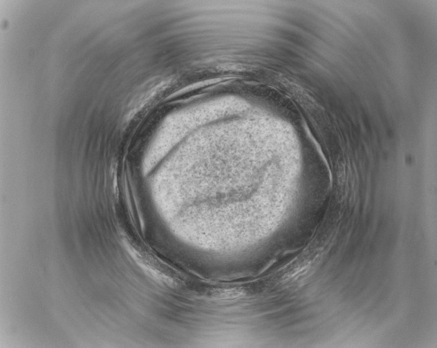 X0000057080398200510071850