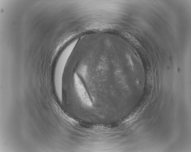 X0000057080399200510071850