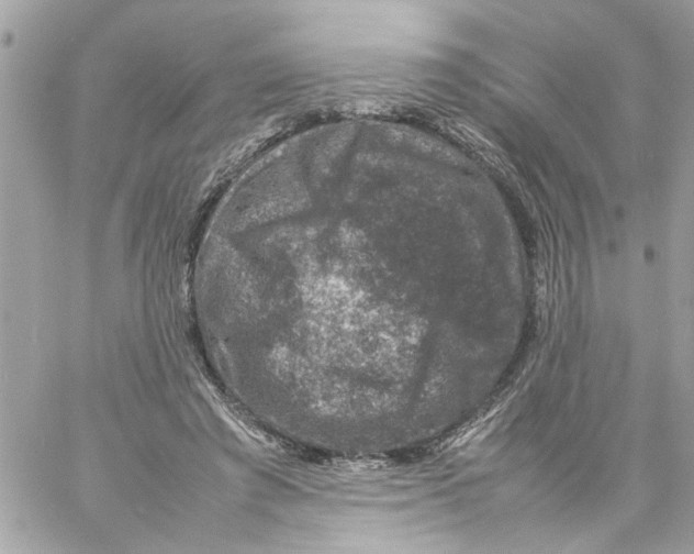 X0000057080401200510071850