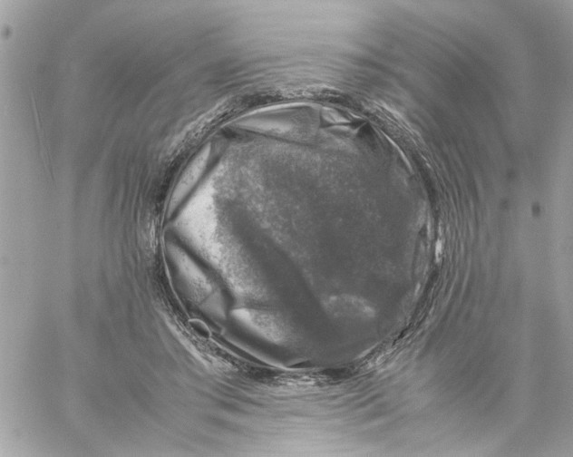 X0000057080405200510071850