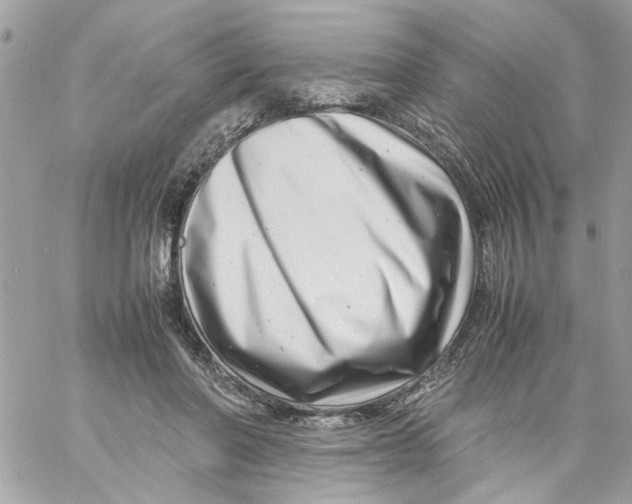 X0000057080406200510071850