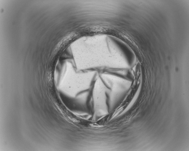 X0000057080407200510071850