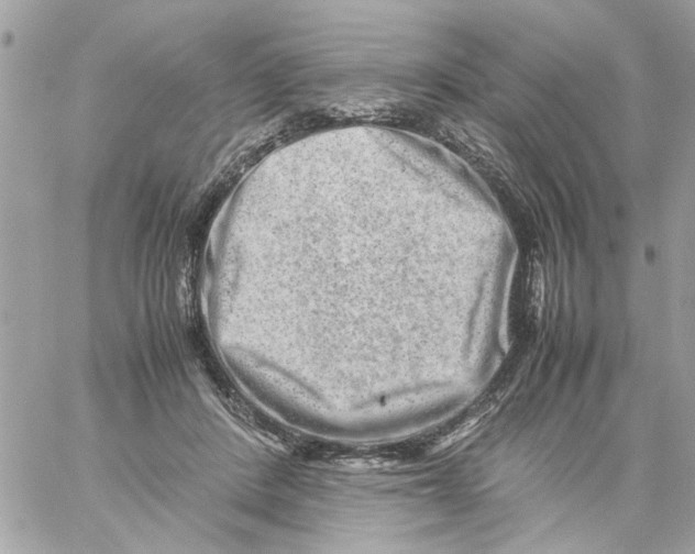 X0000057080408200510071850