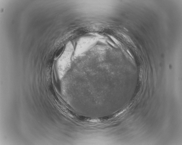 X0000057080409200510071850