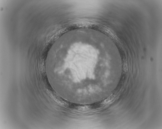 X0000057080411200510071850