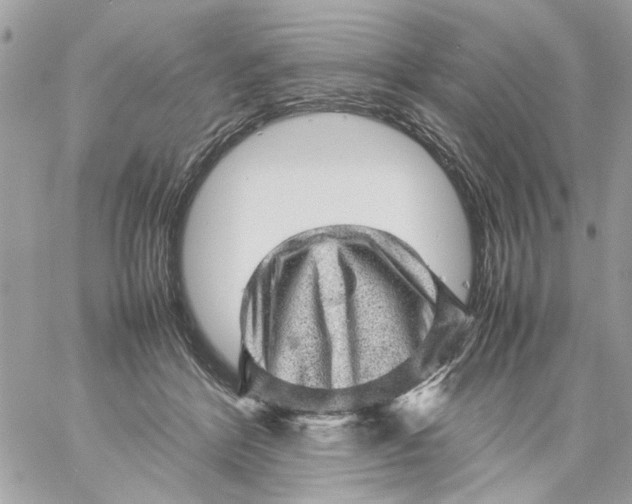 X0000057080412200510071850