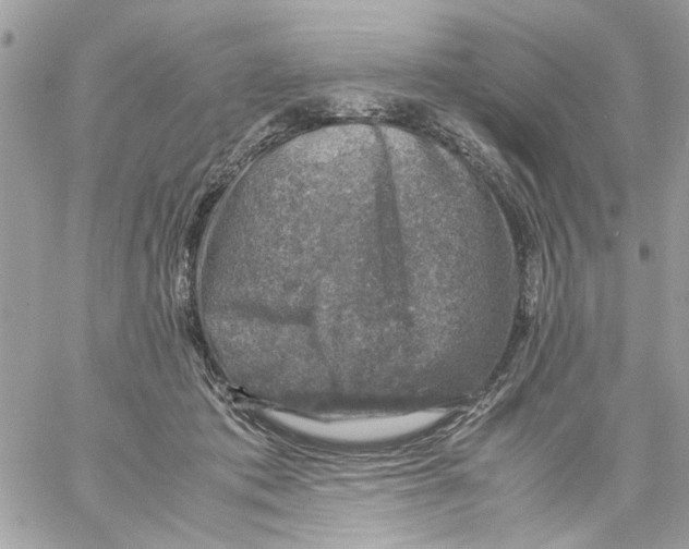 X0000057080413200510071850