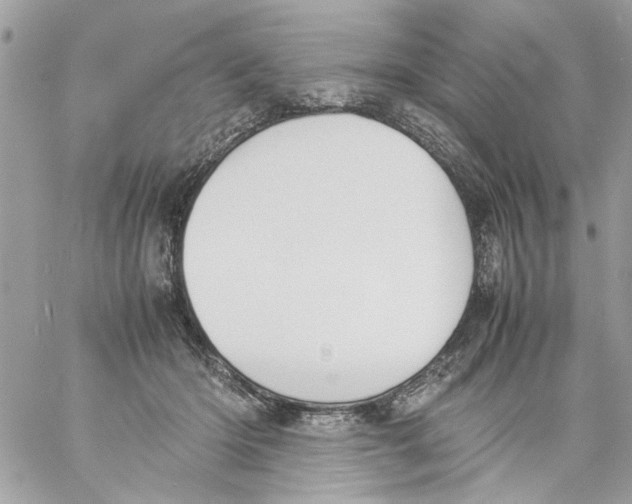 X0000057080414200510071850