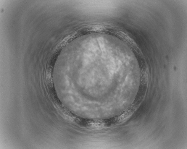 X0000057080415200510071850