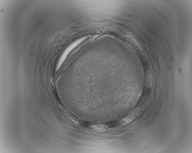 X0000057080417200510071850