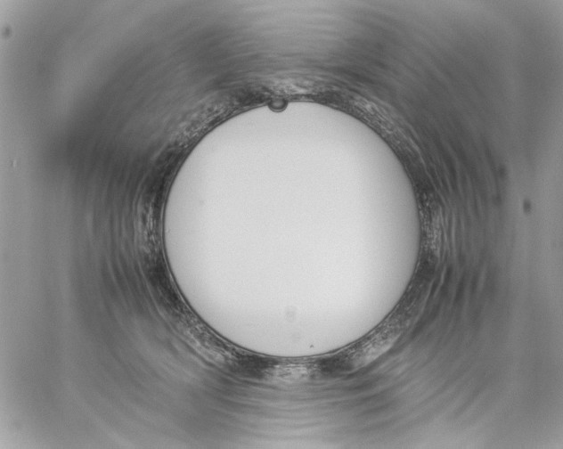 X0000057080418200510071850