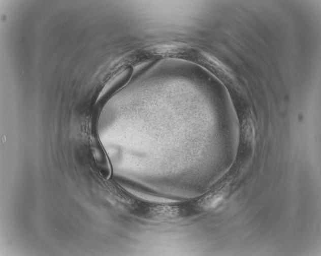 X0000057080421200510071850