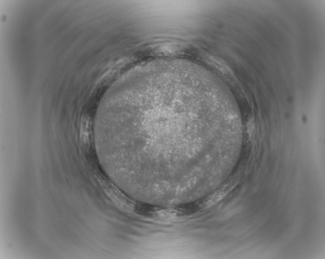 X0000057080423200510071850