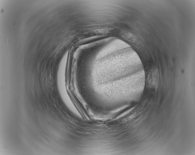 X0000057080424200510071850