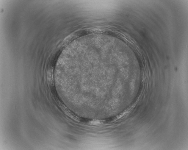 X0000057080425200510071850