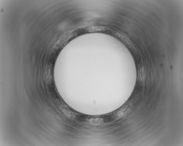 X0000057080426200510071850