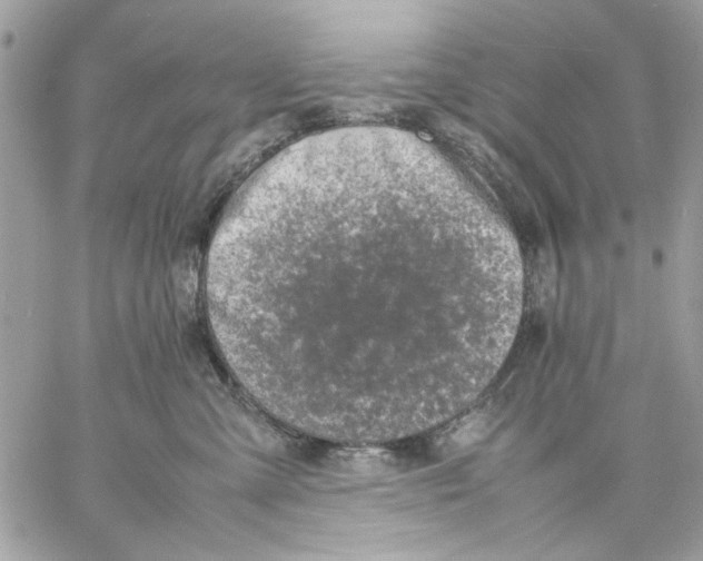 X0000057080427200510071850