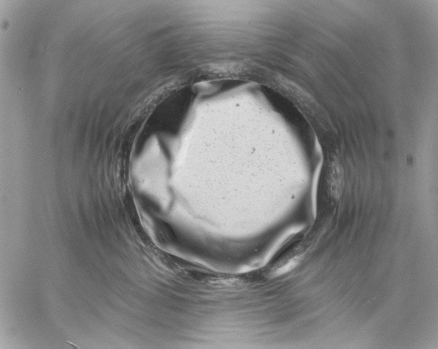 X0000057080428200510071850