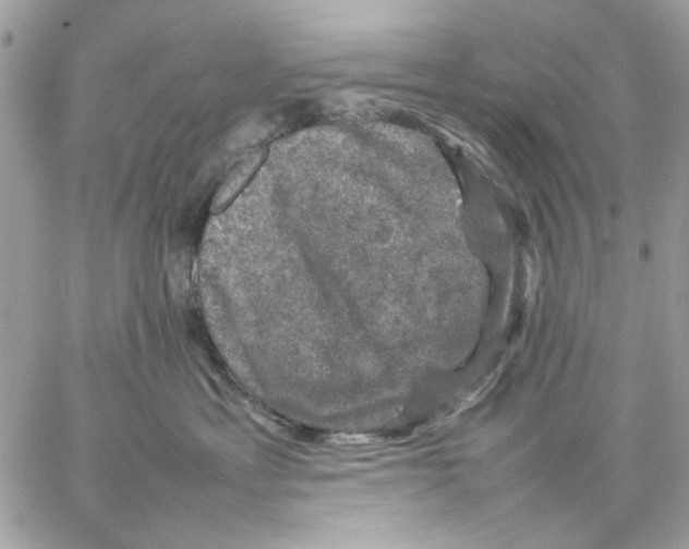 X0000057080429200510071850