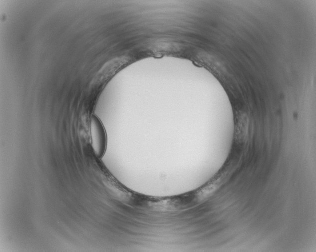 X0000057080430200510071850