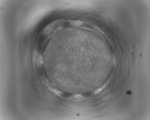 X0000057080431200510071850