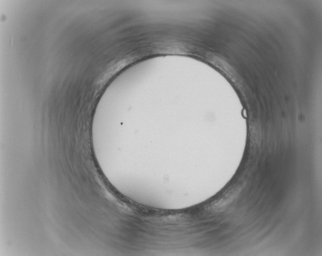 X0000057080433200510071849