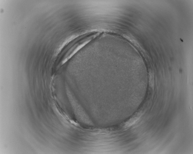 X0000057080434200510071849