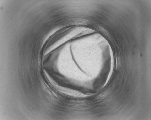 X0000057080435200510071849