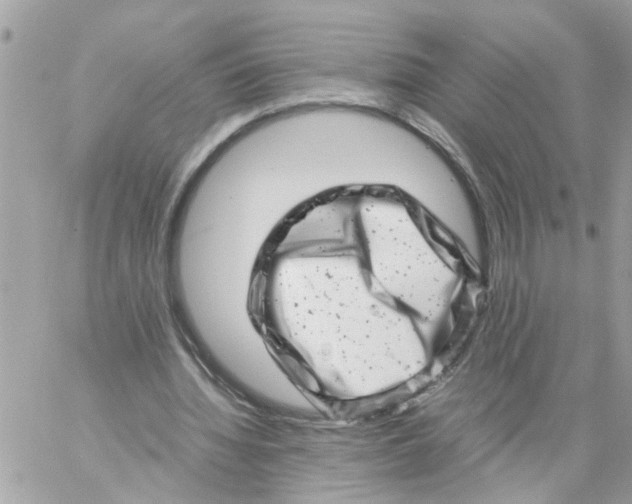 X0000057080436200510071849