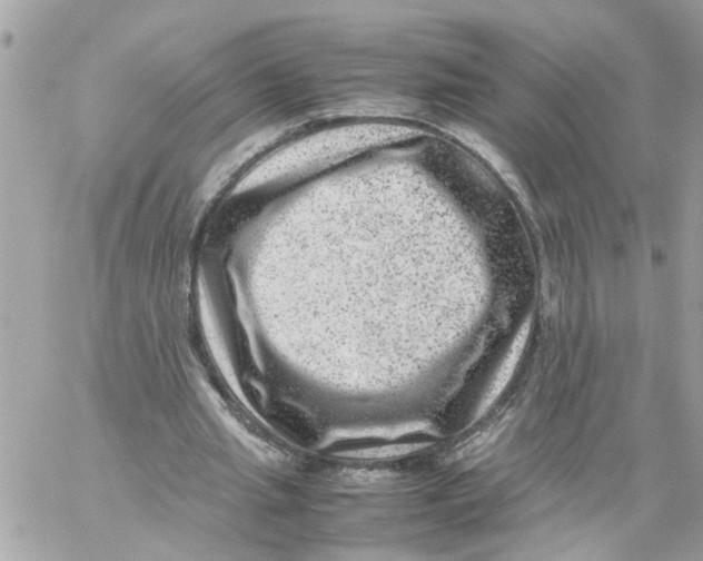 X0000057080437200510071849